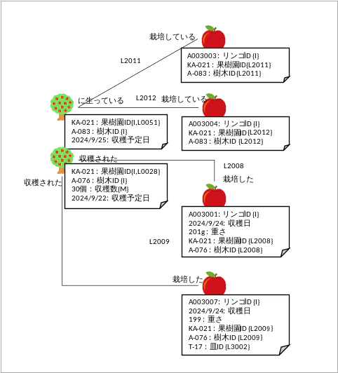 図表4:樹木とリンゴのリンク群