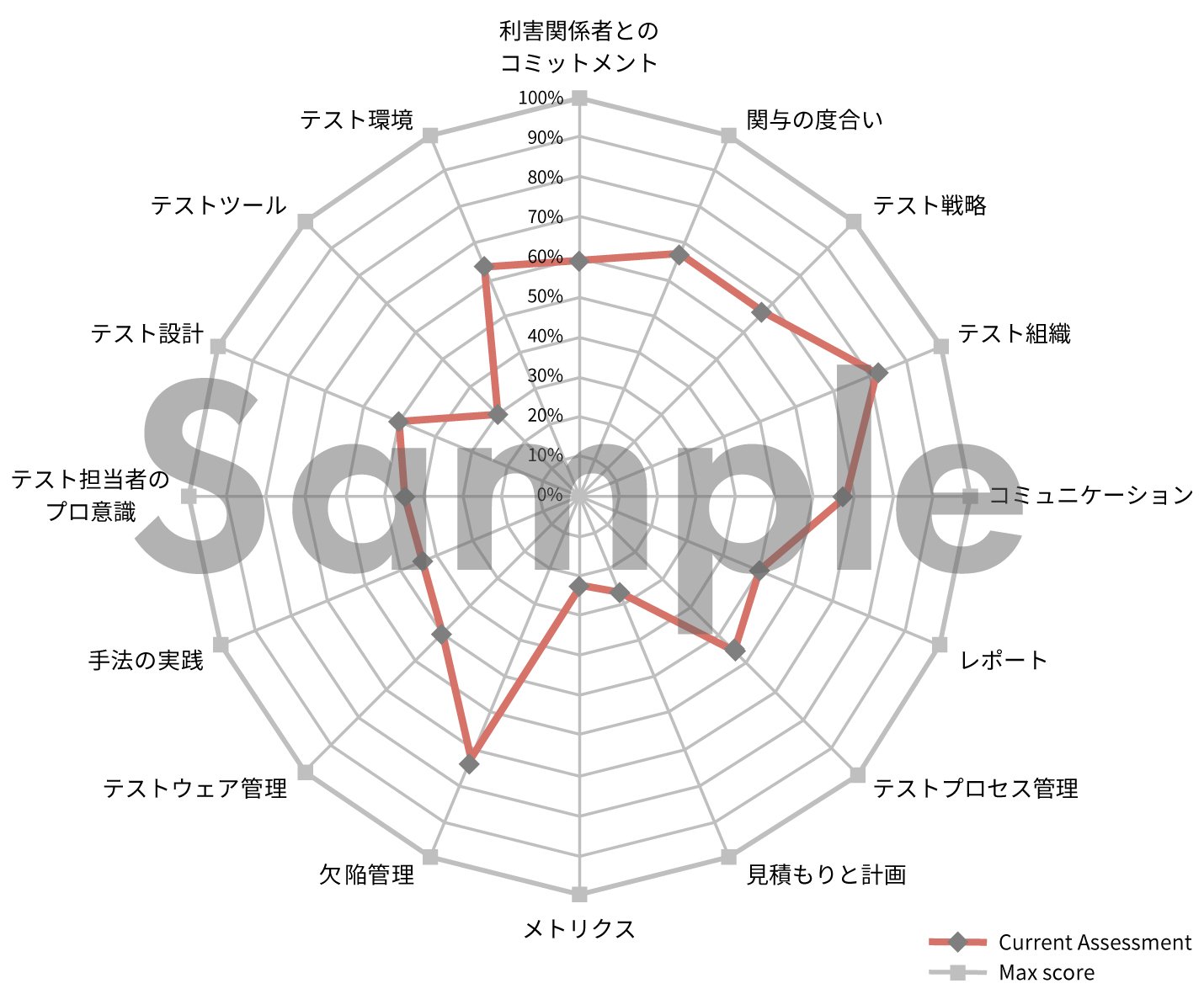 プロセス診断結果イメージ：スパイダーチャート