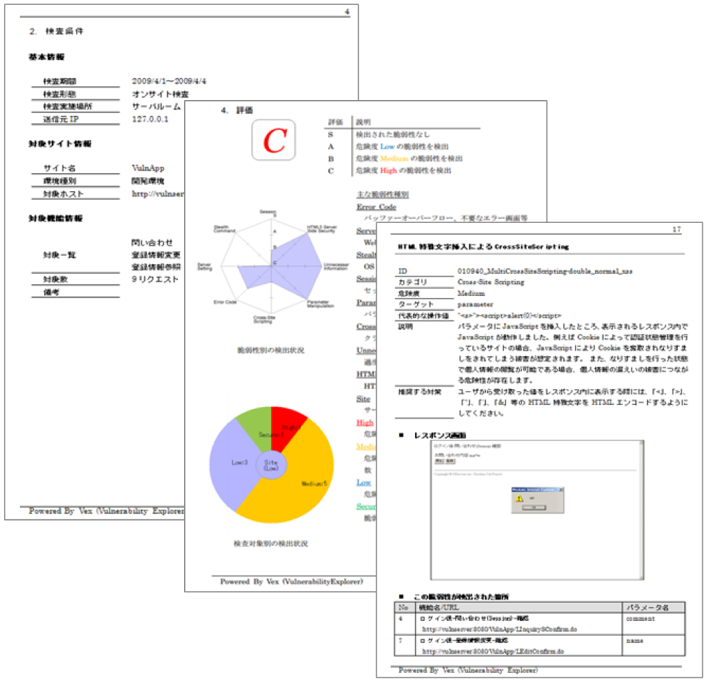 Vexの脆弱性検査レポート